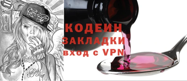 прущие грибы Сосновый Бор