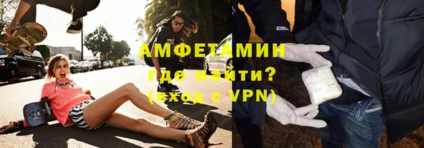 прущие грибы Сосновый Бор