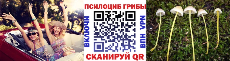 Галлюциногенные грибы MAGIC MUSHROOMS  Кохма 